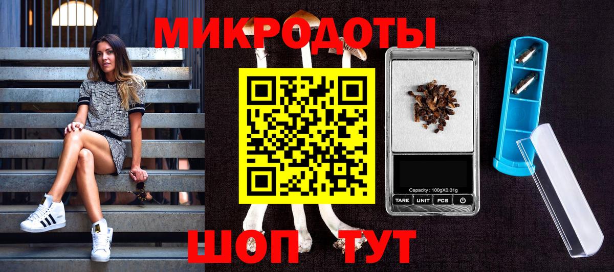 Тихвин  Псилоцибиновые грибы мицелий  где купить   Вход с VPN  Псилоцибиновые грибы Cubensis 
