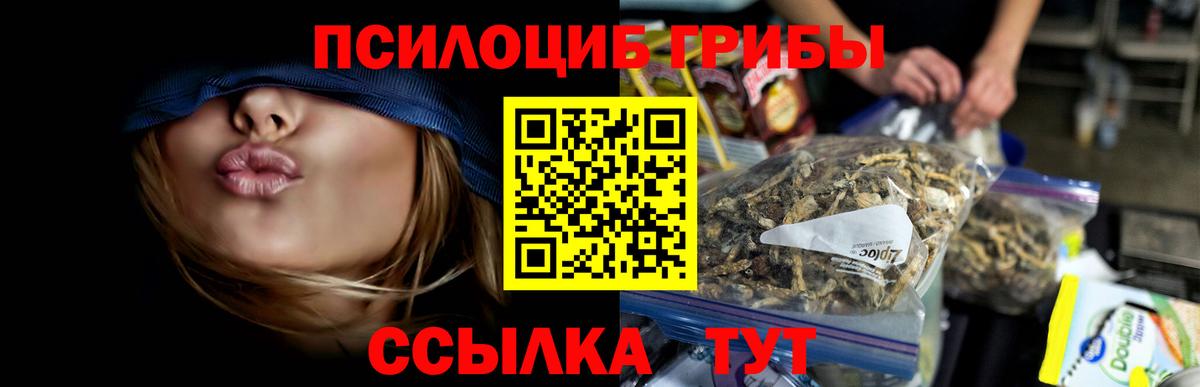 Галлюциногенные грибы Psilocybe Тихвин